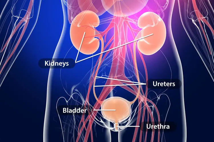 urinary health care Madhurawada