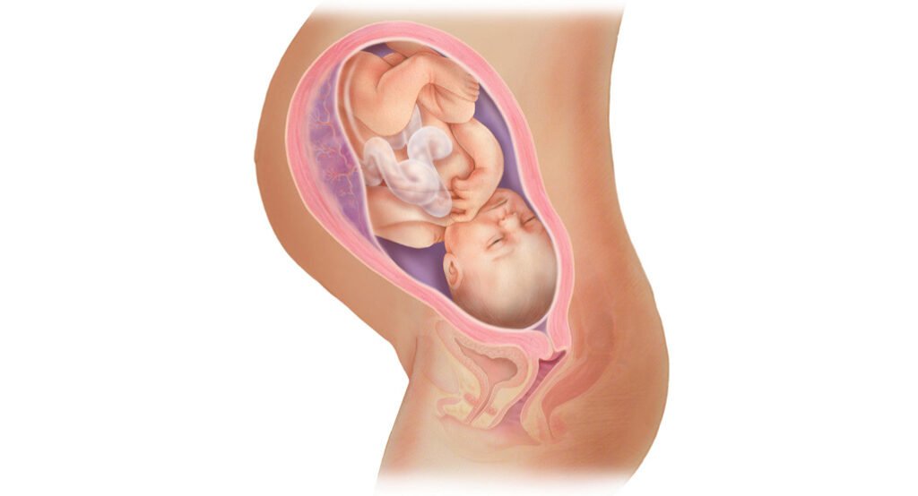 Why Does Thyroid Come in Pregnancy? 3 pregnancy doctor Visakhapatnam