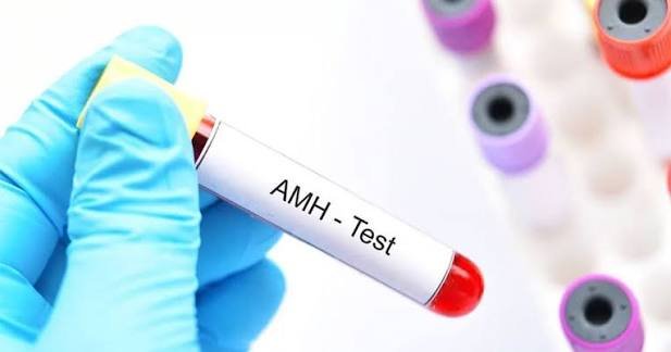 AMH Test for Fertility 2 pregnancy doctor Visakhapatnam